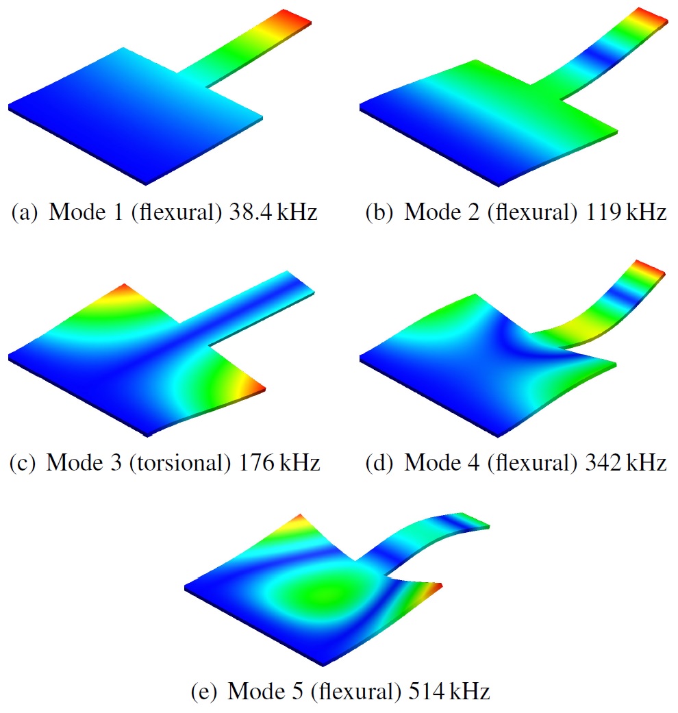 Design and Characterization of Cantilevers for Multi-Frequency Atomic Force Microscopy