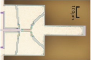 Multimodal cantilevers with novel piezoelectric layer topology for sensitivity enhancement