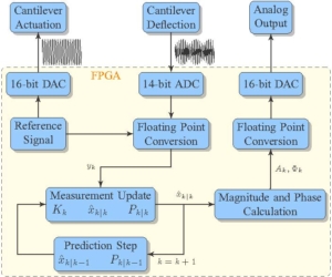 A Kalman Filter for Amplitude Estimation in High-Speed Dynamic Mode Atomic Force Microscopy