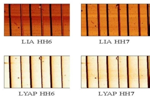 Higher-harmonic AFM Imaging with a High-Bandwidth Multifrequency Lyapunov Filter