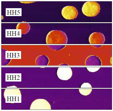 Lyapunov Estimation for High-Speed Demodulation in Multifrequency Atomic Force Microscopy