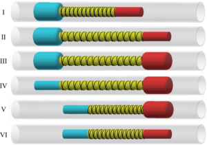 Image-Guided Locomotion of a Pneumatic-Driven Peristaltic Soft Robot