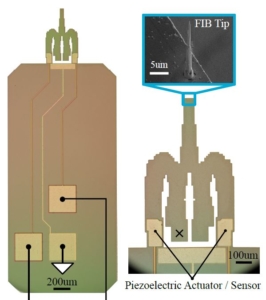 AFM Cantilever Design for Multimode Q Control: Arbitrary Placement of Higher-Order Modes