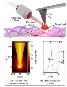 A comparison of gold and silver nanocones and geometry optimisation for tip-enhanced microscopy