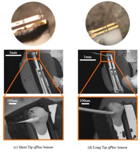 Experimental Analysis of Tip Vibrations at Higher Eigenmodes of QPlus Sensors for Atomic Force Microscopy