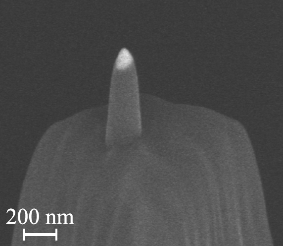 Feasibility of gold nanocones for collocated tip-enhanced Raman spectroscopy and atomic force microscope imaging 