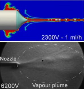 Evaporation in electrohydrodynamic atomisation: A numerical and experimental investigation