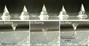 Pulsated in-Situ Dried Electrostretching Fabrication of Microneedles for Transdermal Drug Delivery