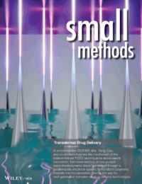 Fabrication of Microneedles by Pulsating In Situ Dried Electrostretching for Transdermal Drug Delivery